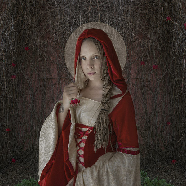 Photograph Kylie Foley Bleeding Hearts Garden on One Eyeland