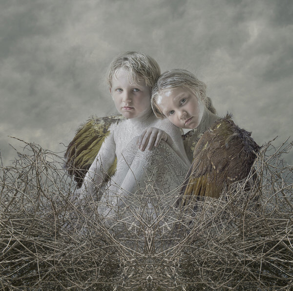 Photograph Kylie Foley Nest on One Eyeland
