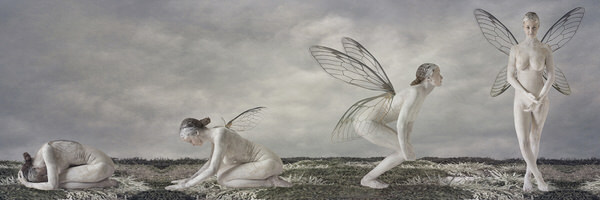 Photograph Kylie Foley Ladyfly on One Eyeland