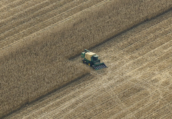 Photograph Larry Hamill Harvest on One Eyeland