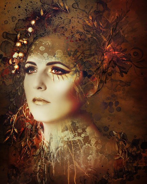 Photograph Vicki Lea Boulter Vine on One Eyeland
