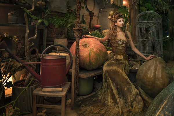 Photograph Haseo Hasegawa Pumpkin on One Eyeland