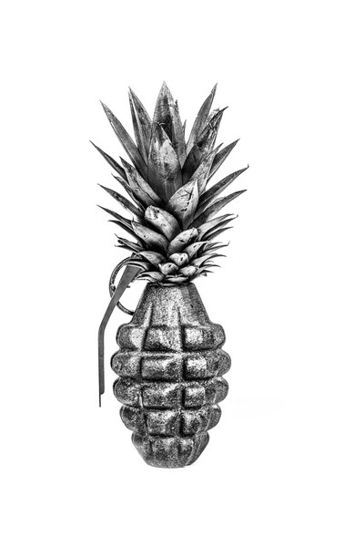 Photograph David Krovblit Pineapple on One Eyeland