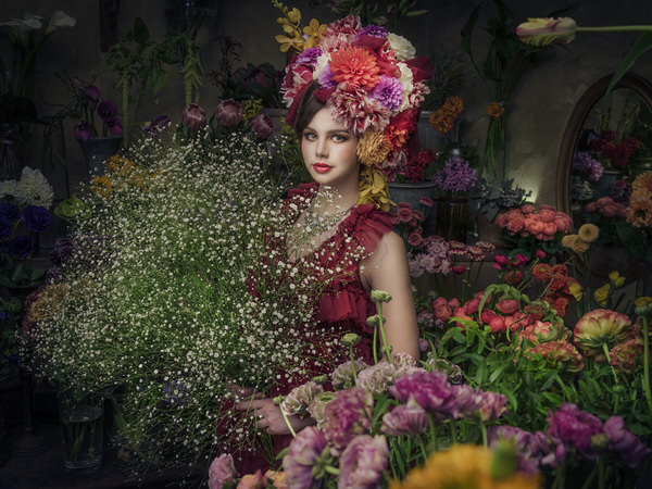 Photograph Haseo Hasegawa Gypsophila on One Eyeland