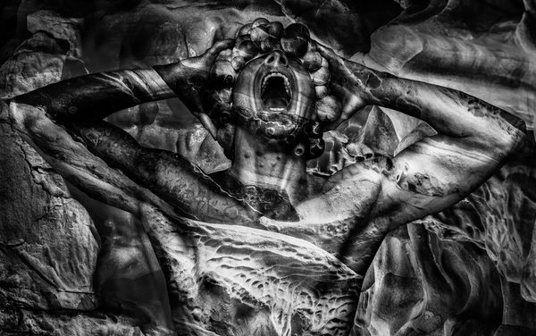 Photograph Jackson Carvalho Camouflaged on One Eyeland