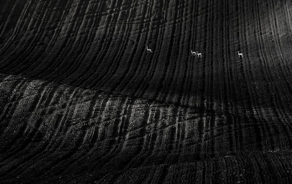Photograph Suk Eun Kim The Good Earth on One Eyeland