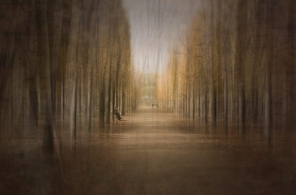 Photograph Agniribe Mada Automn on One Eyeland