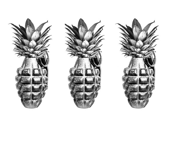 Photograph David Krovblit Pineapple Grenade 2 on One Eyeland