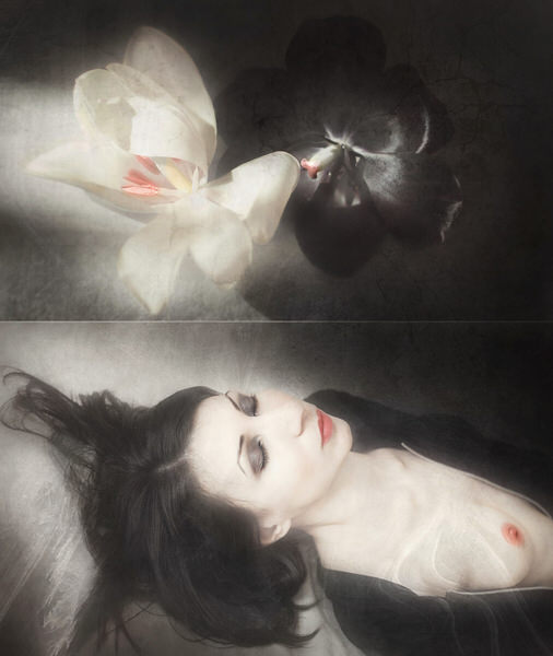 Photograph Ivaylo Ivanov White Black Pink on One Eyeland