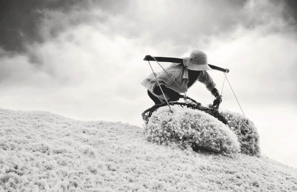 Photograph Nhat Giang Salt Life on One Eyeland