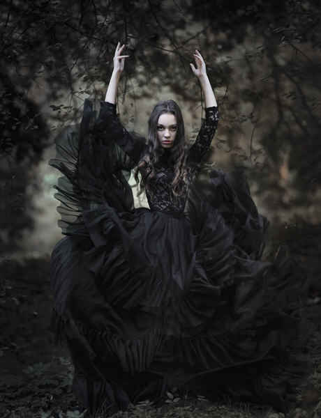 Photograph Monika Byczkowska Black Swan on One Eyeland
