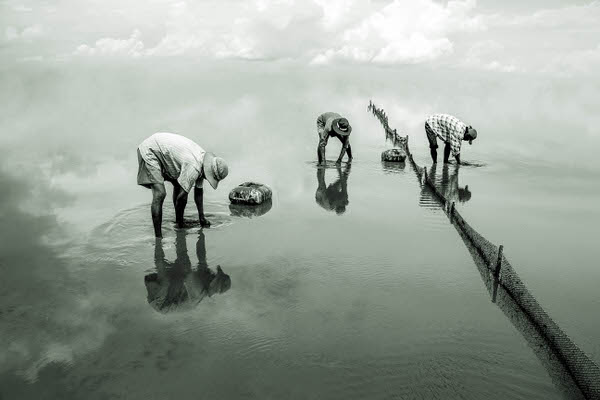 Photograph Nhat Giang Shallow Sea on One Eyeland