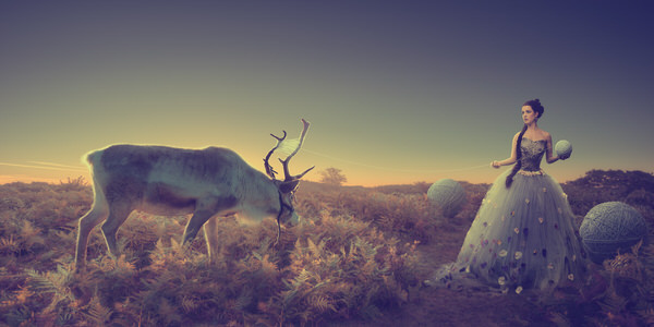 Photograph Quality Pixels Wooldeer on One Eyeland