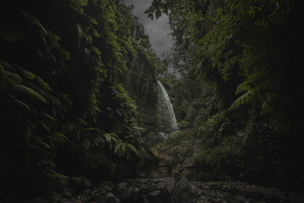 Photograph Iombi Garcia Los Tilos on One Eyeland