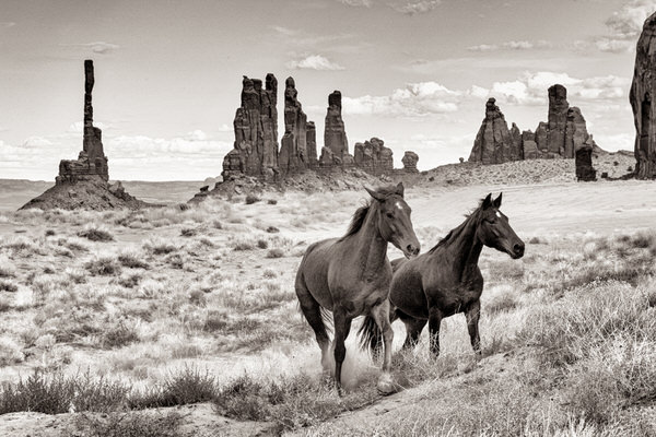 Photograph Bev Pettit The Way It Was on One Eyeland