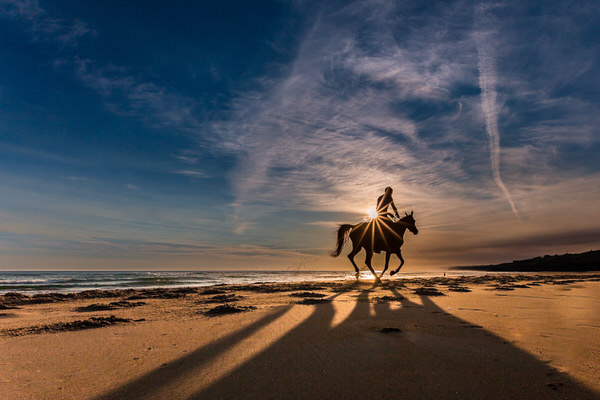 Photograph Irreberente Natalia Aguado Winner Horse on One Eyeland