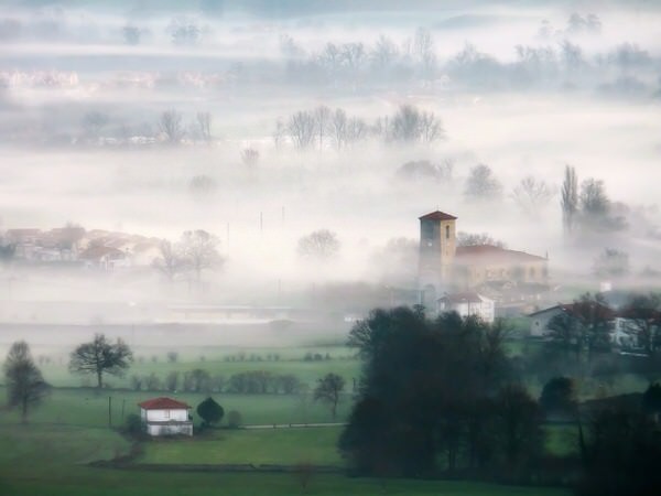 Photograph Claudiano Cuevas Manianitas De Niebla on One Eyeland