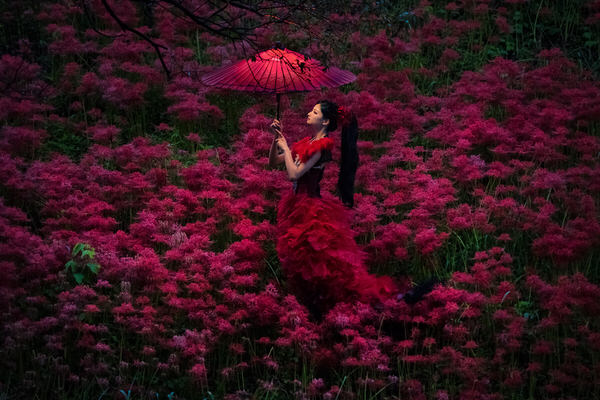 Photograph Haseo Hasegawa Red Poetry 1 on One Eyeland