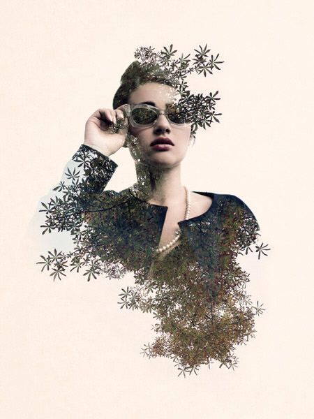 Photograph Sherif Mokbel Nature 1 on One Eyeland
