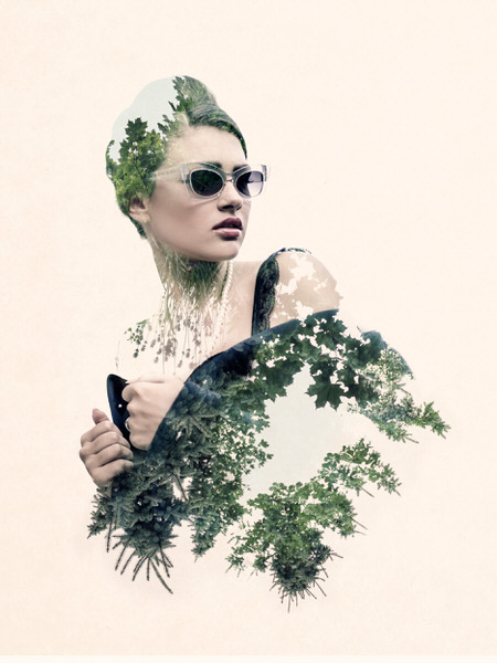 Photograph Sherif Mokbel Nature 2 on One Eyeland