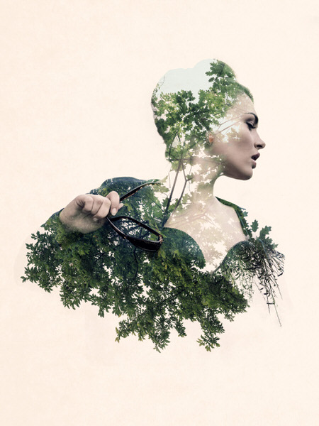 Photograph Sherif Mokbel Nature 3 on One Eyeland