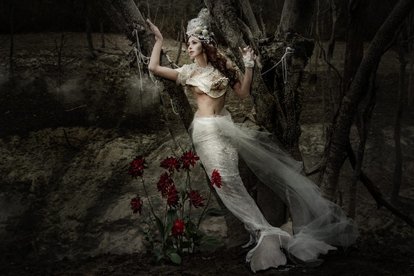 Photograph Haseo Hasegawa Pearl Tears on One Eyeland