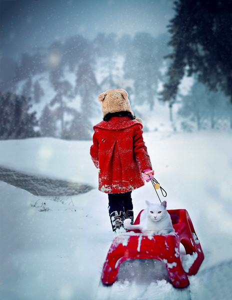 Photograph Elena Paraskeva Into The Storm on One Eyeland