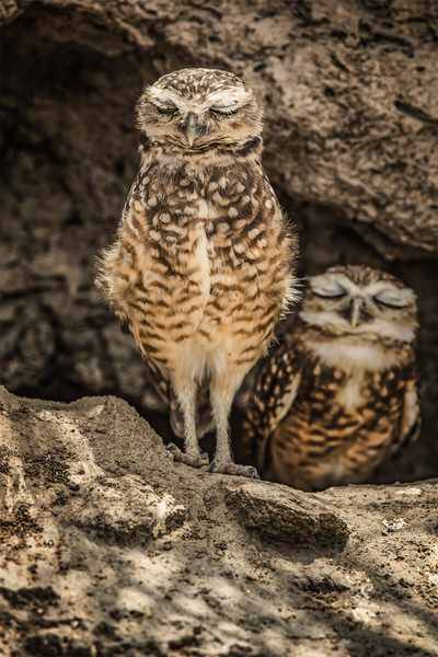 Photograph Jackson Carvalho Good Dreams on One Eyeland