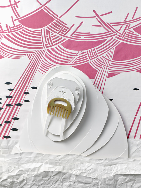 Photograph Dieter Brasch Papercutstilllife_comb on One Eyeland