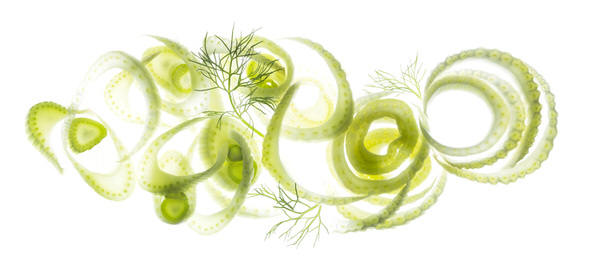 Photograph Rich Begany Fennel on One Eyeland