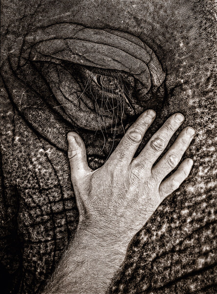 Photograph Tim Booth Zoo Keeper Brian Harman on One Eyeland
