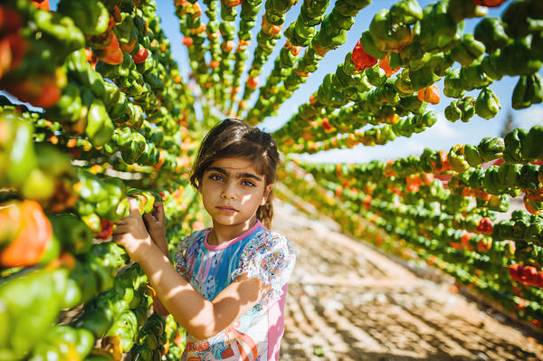 Photograph Dursun Aras The Little Worker on One Eyeland