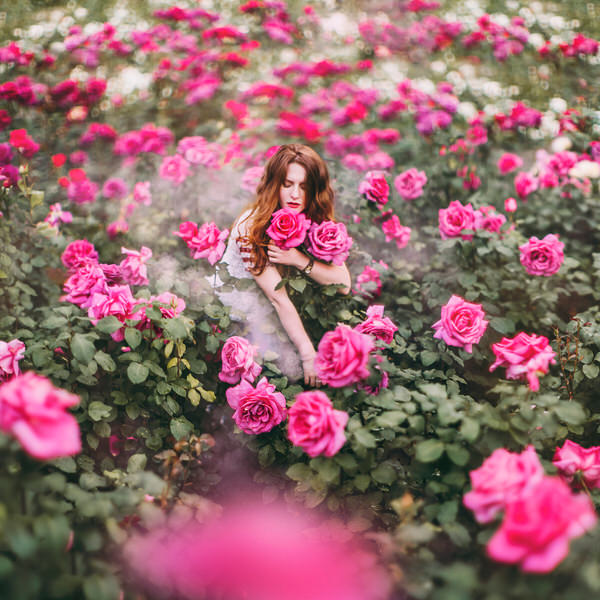 Photograph Kristina Makeeva Roses on One Eyeland
