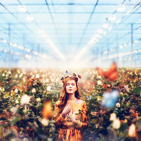 Photograph Kristina Makeeva Roses 2 on One Eyeland