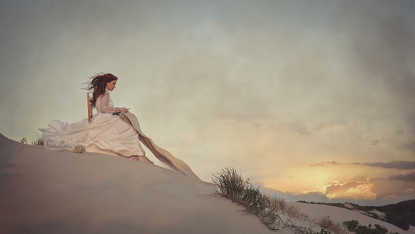 Photograph Shannon Cotterill Sand Weaver on One Eyeland