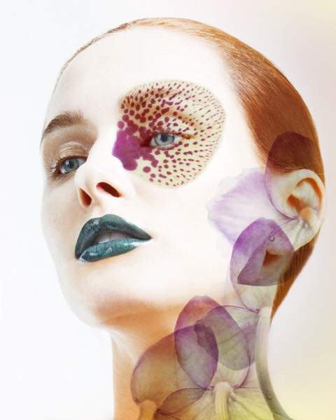 Photograph Sacha Vatkovic Orchid on One Eyeland