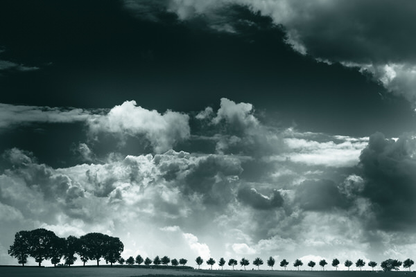 Photograph Marinus Wieten Our World on One Eyeland