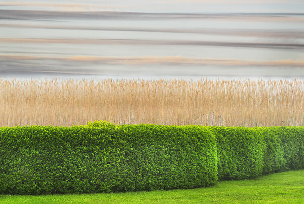 Photograph Mitchell Funk Green Hedges on One Eyeland