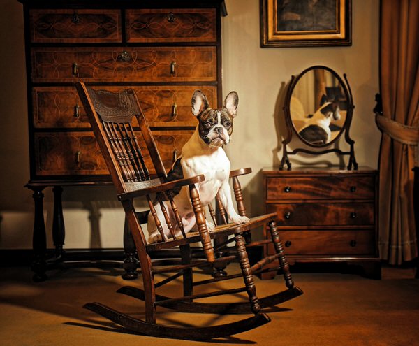 Photograph Ddiarte Ddiarte Dali On Swing Chair on One Eyeland