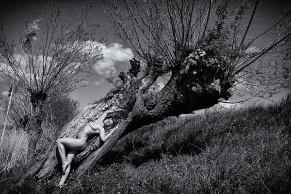 Photograph Ben Ernst Dutch Landscape on One Eyeland