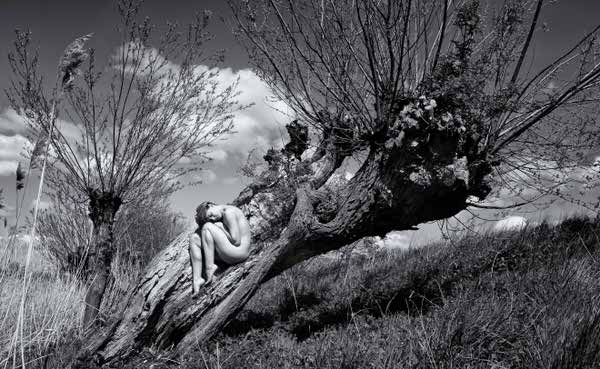 Photograph Ben Ernst Dutch Landscape2 on One Eyeland