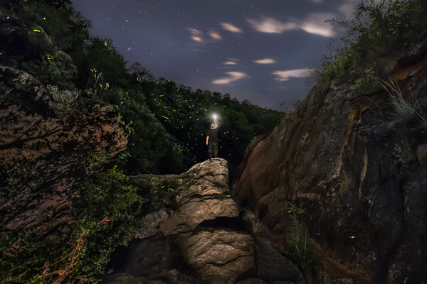 Photograph Gonzalo Santile Fireflies Nights on One Eyeland