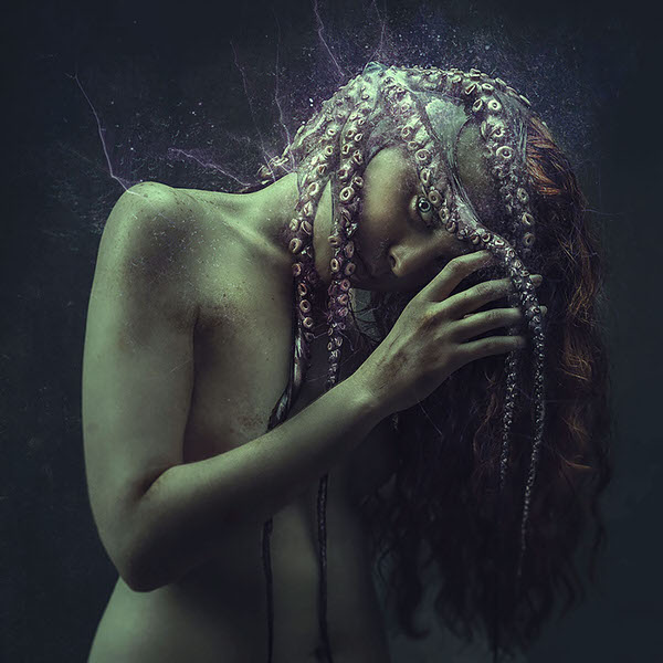 Photograph Mikeila Borgia C E P H A L O P O D A on One Eyeland