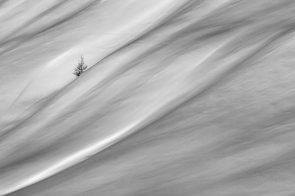 Photograph Cristiana Damiano Alone on One Eyeland