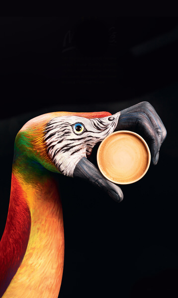 Photograph Guido Daniele Parrot on One Eyeland