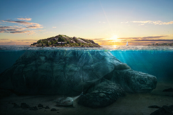 Photograph Onni Wiljami Kinnunen Beneath The Surface I Turtle Island on One Eyeland