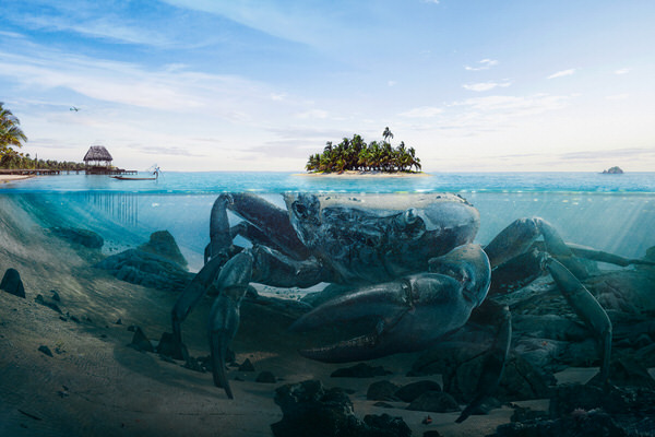 Photograph Onni Wiljami Kinnunen Beneath The Surface I Crab Island on One Eyeland