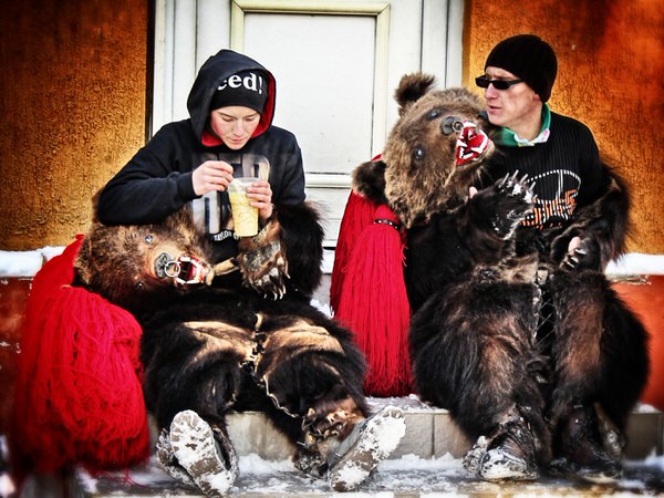Photograph Constantin Ciobanu Bears Having Breakfast on One Eyeland