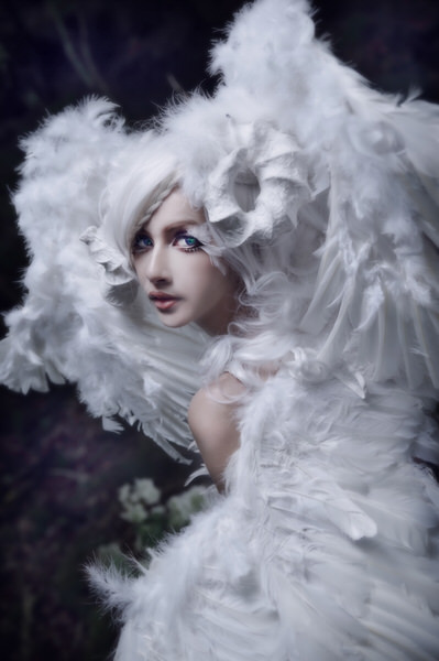 Photograph Haseo Hasegawa Shining on One Eyeland