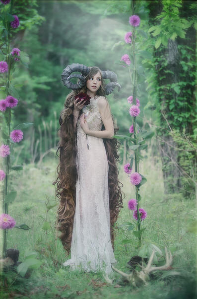 Photograph Haseo Hasegawa Futurity on One Eyeland